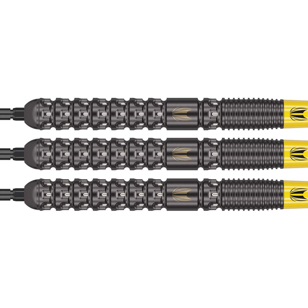 Target Luke Littler Swiss Point Steeldarts