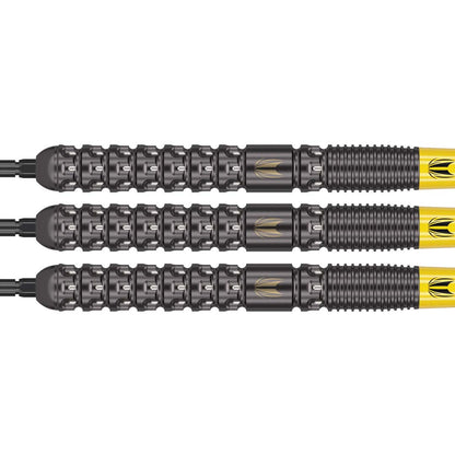 Target Luke Littler Swiss Point Steeldarts