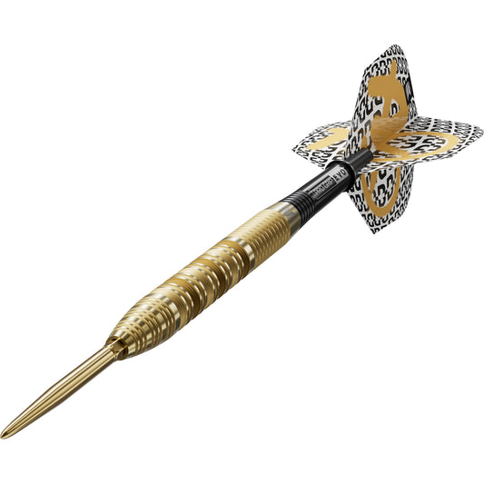 Target Bolide Envy 01 Swiss Point Steeldarts