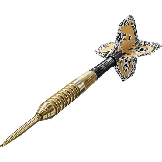 Target Bolide Envy 02 Swiss Point Steeldarts