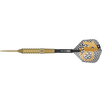 Target Bolide Envy 02 Swiss Point Steeldarts