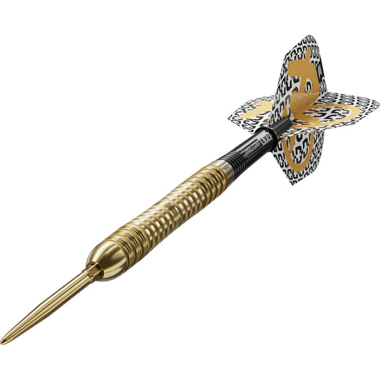 Target Bolide Envy 04 Swiss Point Steeldarts