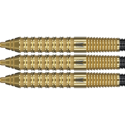 Target Bolide Envy 02 Swiss Point Steeldarts