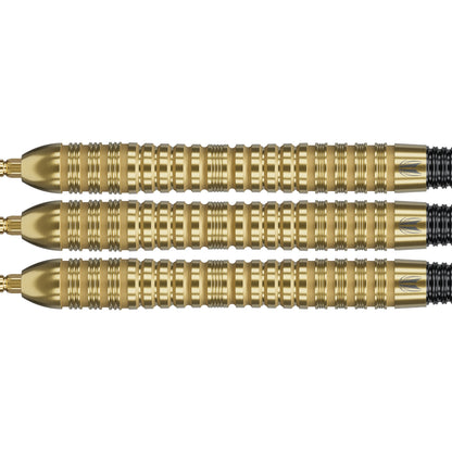 Target Bolide Envy 04 Swiss Point Steeldarts