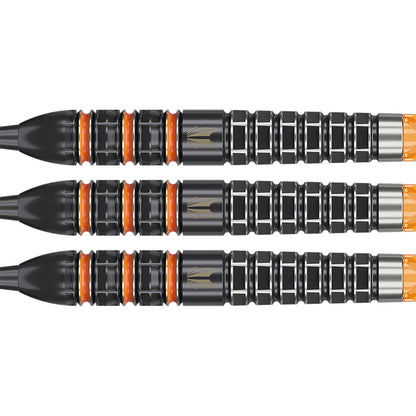 Target Raymond van Barneveld 95K SP Steeltip 95%