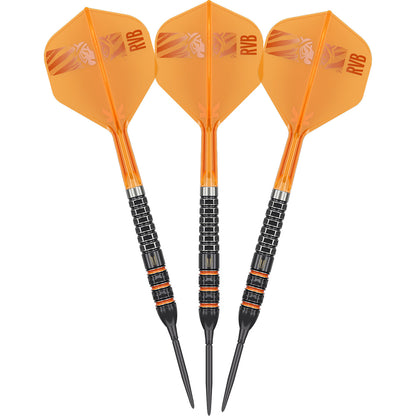 Target Raymond van Barneveld 95K SP Steeltip 95%