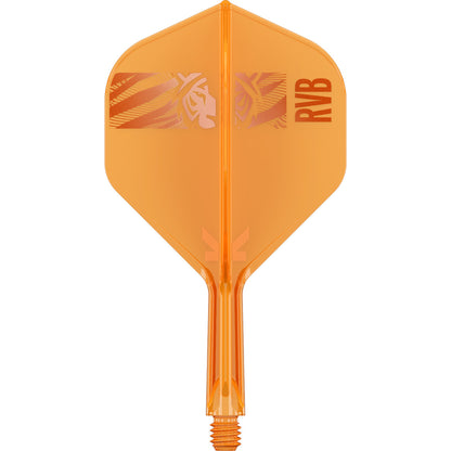 Target Raymond van Barneveld 95K SP Steeltip 95%